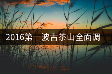 2016第一波古茶山全面調(diào)研第四站——臨滄·大雪山、小戶賽