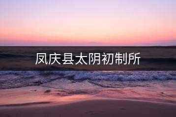 鳳慶縣太陰初制所