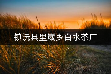 鎮(zhèn)沅縣里崴鄉(xiāng)白水茶廠(chǎng)
