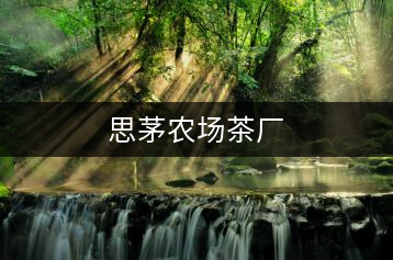 思茅農(nóng)場(chǎng)茶廠