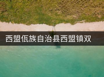 西盟佤族自治縣西盟鎮(zhèn)雙扶茶廠(chǎng)