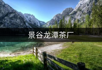 景谷龍?zhí)恫鑿S