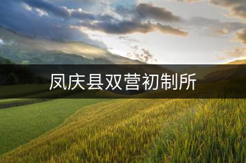 鳳慶縣雙營初制所