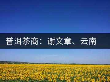 普洱茶商：謝文章、云南谷申商貿有限公司總經理