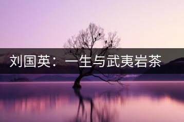 劉國(guó)英：一生與武夷巖茶結(jié)緣