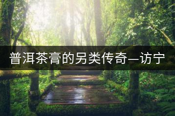 普洱茶膏的另類(lèi)傳奇—訪寧洱老茶人湯謨