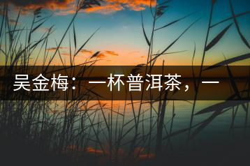 吳金梅：一杯普洱茶，一份云南情