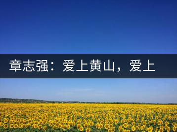 章志強(qiáng)：愛上黃山，愛上黃山的茶