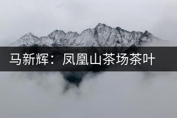 馬新輝:鳳凰山茶場(chǎng)茶葉產(chǎn)業(yè)致富帶頭人