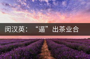 閔漢英：“逼”出茶業(yè)合作社，帶領(lǐng)村民走上致富路
