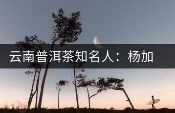 云南普洱茶知名人:楊加龍