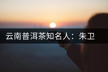 云南普洱茶知名人：朱衛(wèi)東