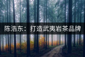 陳浩東：打造武夷巖茶品牌 弘揚中華茗茶文化