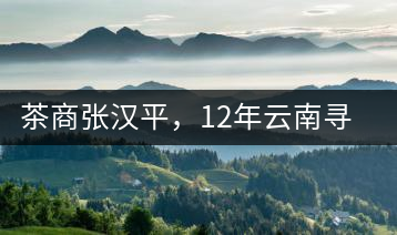 茶商張漢平，12年云南尋茶路