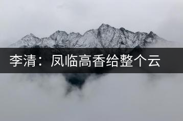 李清：鳳臨高香給整個(gè)云茶產(chǎn)業(yè)做廣告