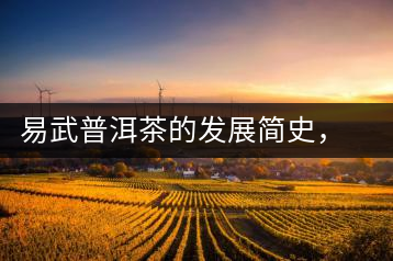 易武普洱茶的發(fā)展簡史，昔日的貢茶如今依然輝煌