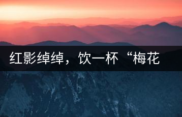 紅影綽綽，飲一杯“梅花”醉