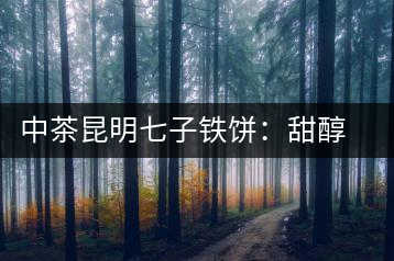 中茶昆明七子鐵餅：甜醇甘潤，陳韻綿長