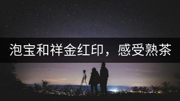 泡寶和祥金紅印，感受熟茶之美。