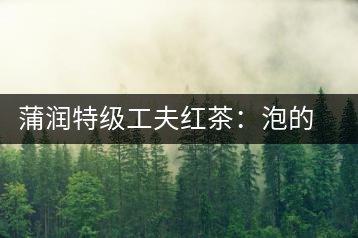 蒲潤(rùn)特級(jí)工夫紅茶：泡的方便，喝的舒適