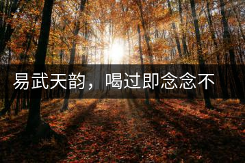 易武天韻，喝過即念念不忘的茶中皇后