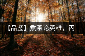 【品鑒】煮茶論英雄，丙申年易武麻黑