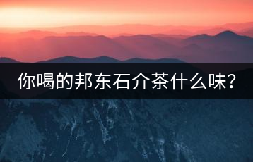 你喝的邦東石介茶什么味？