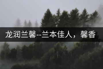 龍潤蘭馨–蘭本佳人，馨香高雅