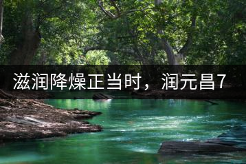 滋潤(rùn)降燥正當(dāng)時(shí)，潤(rùn)元昌701野生古樹(shù)紅茶驚鴻再現(xiàn)