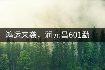 鴻運(yùn)來襲，潤元昌601勐海紅韻熟茶即將上市