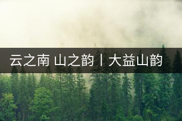 云之南 山之韻丨大益山韻，“韻”味傳奇之山韻歸來
