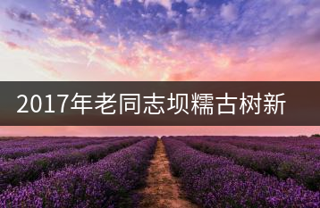 2017年老同志壩糯古樹(shù)新品上市