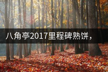 八角亭2017里程碑熟餅，自先發(fā)酵而后愛人