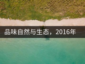 品味自然與生態(tài)，2016年勐傣“大雪山古樹茶”