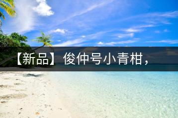 【新品】俊仲號(hào)小青柑，青果來(lái)傾城