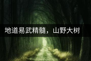 地道易武精髓，山野大樹珍品—普秀易武生態(tài)喬木圓茶即將上市