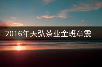 2016年天弘茶業(yè)金班章震撼上市！