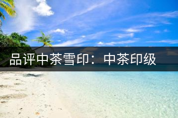 品評中茶雪印：中茶印級茶的經(jīng)典傳承