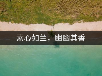 素心如蘭，幽幽其香