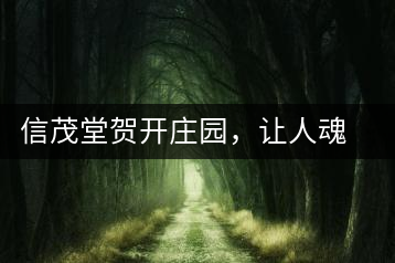 信茂堂賀開(kāi)莊園，讓人魂?duì)繅?mèng)繞的名山古樹(shù)茶