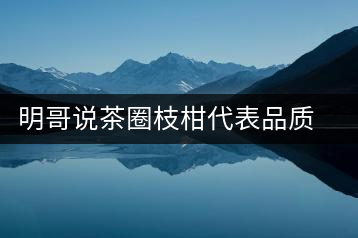 明哥說茶圈枝柑代表品質(zhì)高點，是玩家級的產(chǎn)品