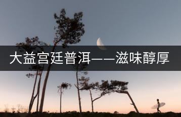 大益宮廷普洱——滋味醇厚，陳香濃郁