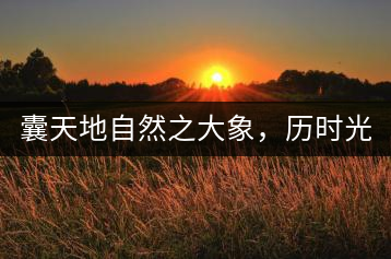 囊天地自然之大象，歷時(shí)光十載流轉(zhuǎn)-皇茶一號