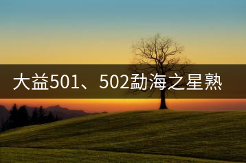 大益501、502勐海之星熟茶