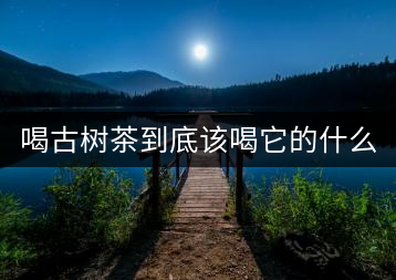 喝古樹(shù)茶到底該喝它的什么？