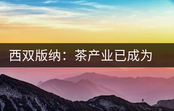 西雙版納：茶產(chǎn)業(yè)已成為茶區(qū)經(jīng)濟(jì)的重要支柱產(chǎn)業(yè)