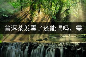 普洱茶發(fā)霉了還能喝嗎，需要怎么處理？