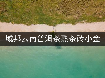 域邦云南普洱茶熟茶磚小金磚4年老茶250g