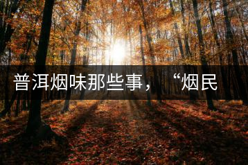 普洱煙味那些事,“煙民”不怕當(dāng)