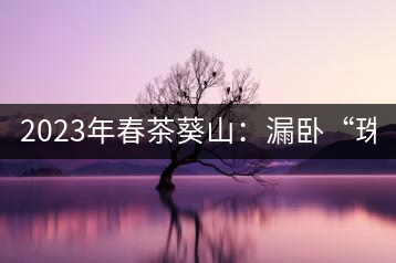 2023年春茶葵山：漏臥“珠江紅：1200元-3200元（有3個(gè)檔次）漏臥“大廠茶”：古樹(shù)單株8600-9000元／公斤，中樹(shù)4800-5200元／公斤，小樹(shù)混采2600-2800元／公斤。